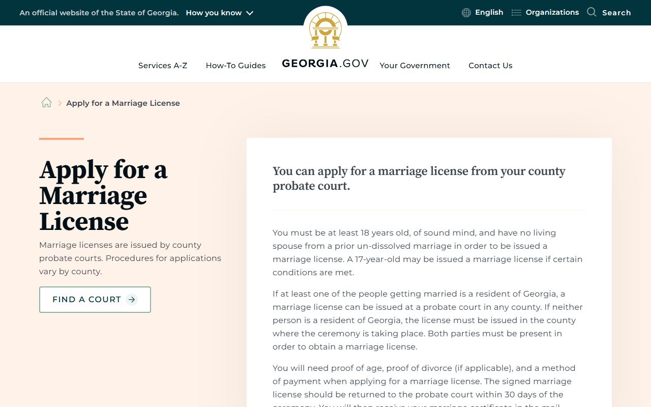 Georgia.gov marriage license application guidance